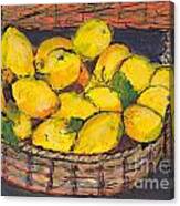 Italian Lemons Canvas Print
