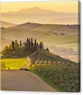 Italy, Tuscany, San Quirico D'orcia, Podere Belvedere, Green Hills, Olive Gardens And Small Vineyard Under Rays Of Morning Sun Canvas Print