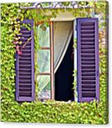 Ivy Covered Window Of Tuscany Canvas Print