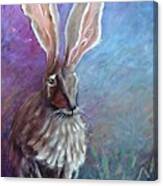Jack  Rabbit Canvas Print