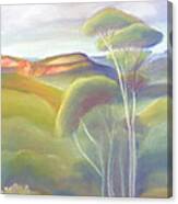 Jamison Valley Blue Mountains National Park Nsw Australia Canvas Print