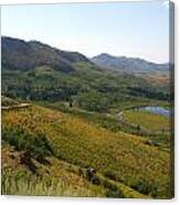 Jarbidge Road Canvas Print