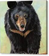 Jasper Moon Bear - In Support Of Animals Asia Canvas Print