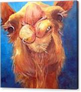 Jay Z Camel Canvas Print