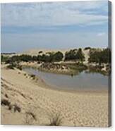 Jockey's Ridge 3 Canvas Print