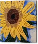 Joshua's Sunflower Canvas Print