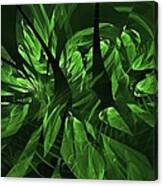 Jungle Clearing Canvas Print