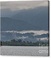 Jungle Fog Canvas Print