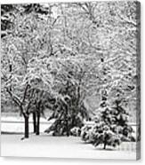 Just After A Snowfall Canvas Print