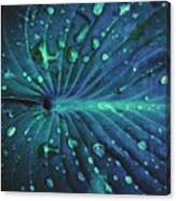 Drops Of Jupiter Canvas Print