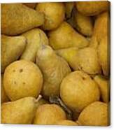 Just Pears Canvas Print