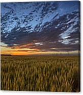 Kansas Color Canvas Print