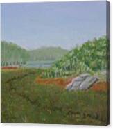 Kantola Swamp Canvas Print