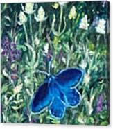 Karner Blue Butterfly Canvas Print