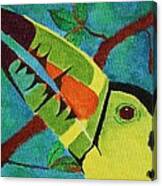 Keel-billed Toucan Canvas Print
