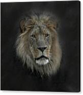 King Of Beasts Portrait Canvas Print