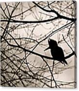 Kingfisher Silhouette Canvas Print