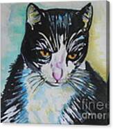 Kitty ..all Grown Up Canvas Print