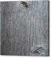 Knotty Plank #2a Canvas Print