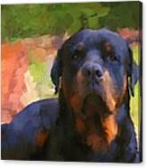Kodah A Rottweiler Canvas Print