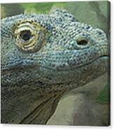 Komodo Dragon Canvas Print