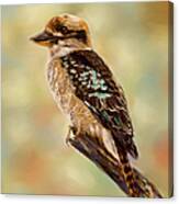 Kookaburra - Australian Bird Painting Canvas Print
