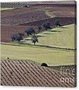 La Mancha Landscape - Spain Series-cinco Canvas Print