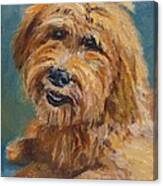 Labradoodledoo Canvas Print