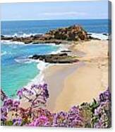 Laguna Beach Coastline Canvas Print