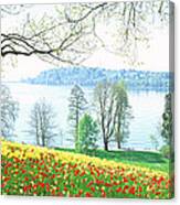 Lake Constance, Insel Mainau, Germany Canvas Print