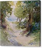 Lake Michigan Beach Path Canvas Print