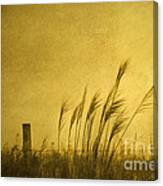 Land Of Stillness Canvas Print