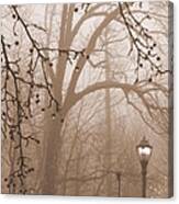 Lantern In The Rain Canvas Print