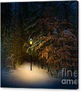 Lantern In The Wood Canvas Print
