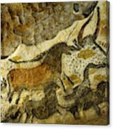 Lascaux Cave Painting Canvas Print