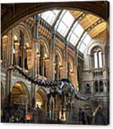 Last Day At The Museum For Dippy The Canvas Print