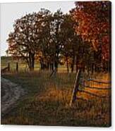 Last Light Of A Fall Day Canvas Print