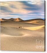 Late Afternoon At The Mesquite Dunes Canvas Print