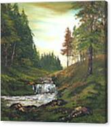 Late Afternoon On Cannock Chase Canvas Print