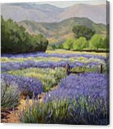 Lavender Blue Canvas Print