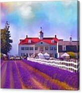 Lavender Fields Canvas Print