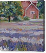 Lavender Fields Canvas Print