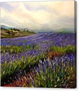 Lavender In Oil Canvas Print