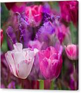 Layers Of Tulips Canvas Print