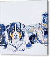 Leadville Street Dogs Canvas Print