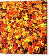 Leaf Blanket Canvas Print