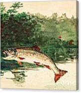 Leaping Trout Canvas Print