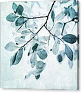 Leaves In Dusty Blue Canvas Print