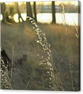 Leaves Of Grass Canvas Print