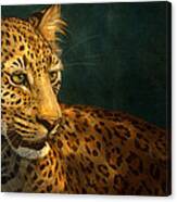 Leopard Canvas Print